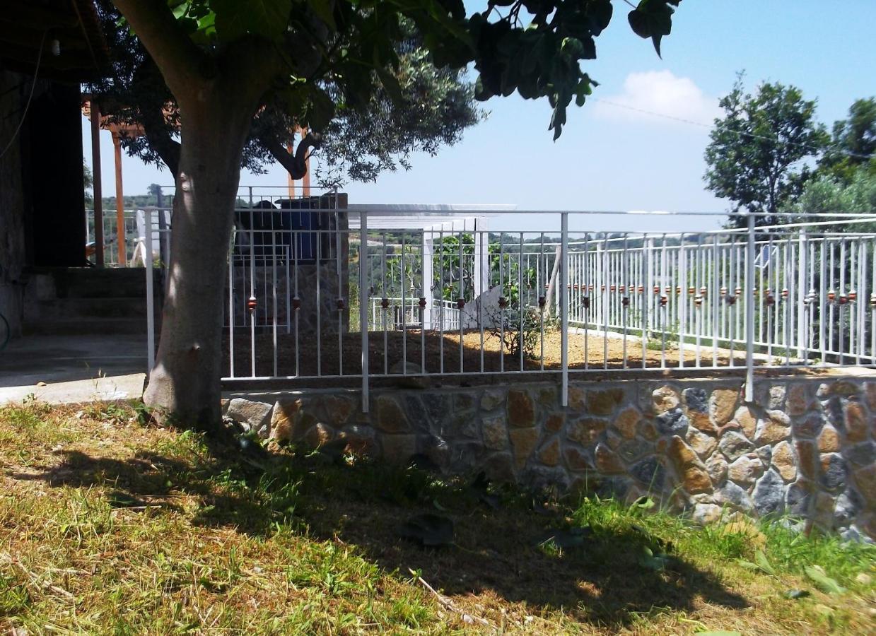 Villa De Felice Albanella Exterior photo